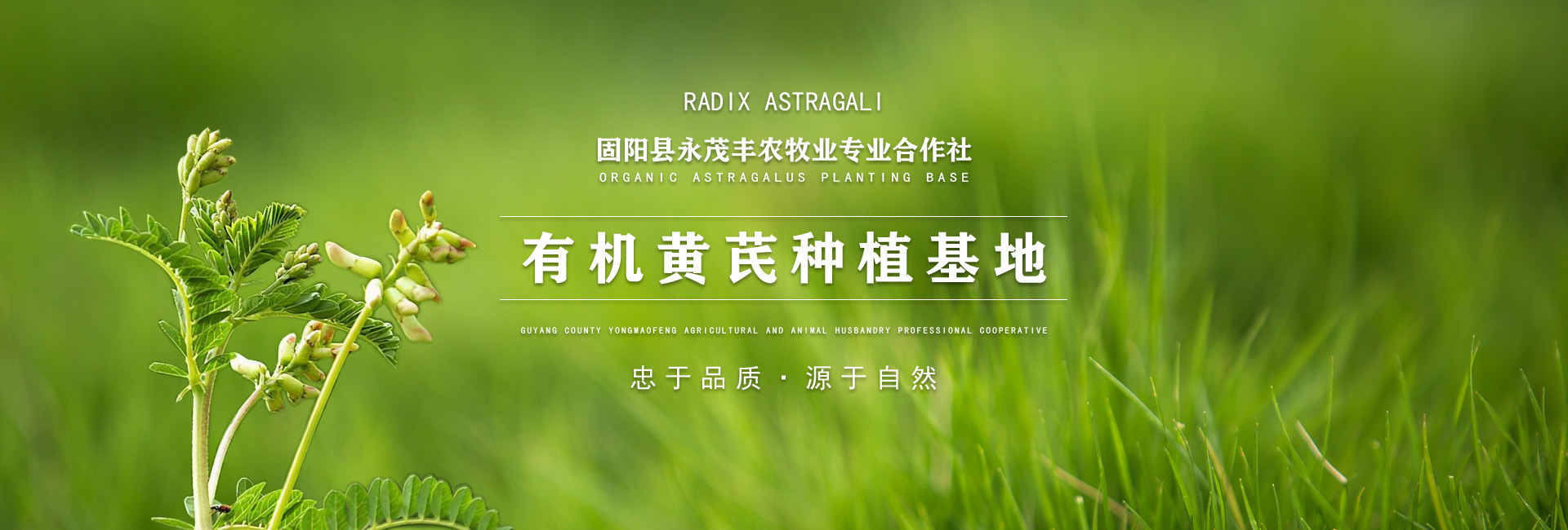 固阳县永茂丰农牧业专业合作社