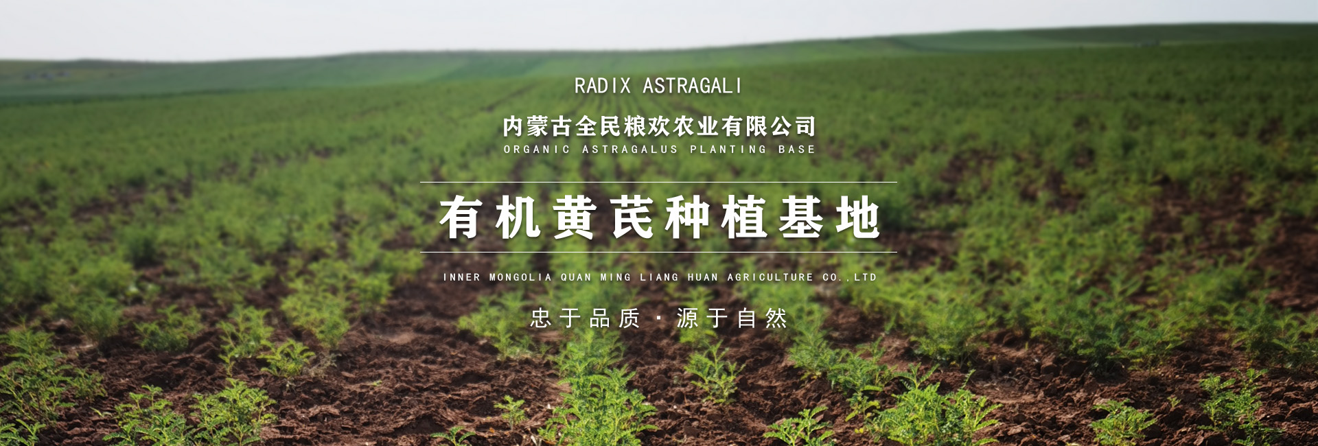 固阳县永茂丰农牧业专业合作社