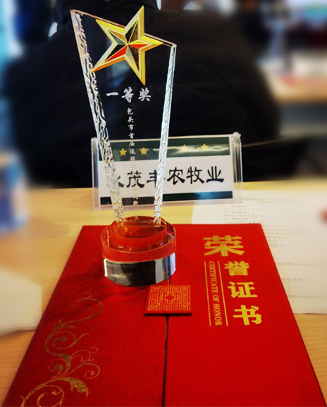 fd0e692e0e10943e25782be656afc34