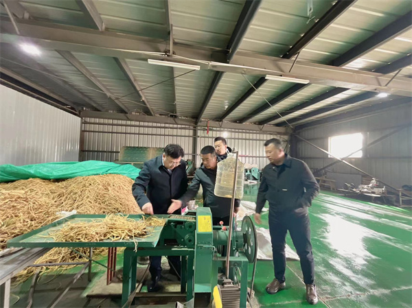 包头市退役军人事务局党组成员、李晓宏副局长，深入固阳县永茂丰农牧业专业合作社调研固阳有机黄芪工作