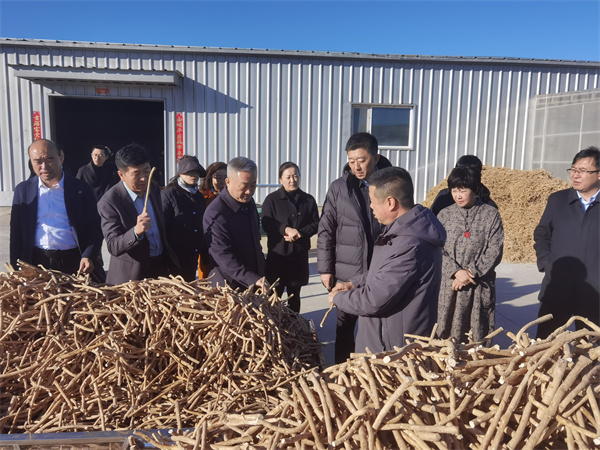 扬子江药业集团来固阳县永茂丰农牧业专业合作社调研考察