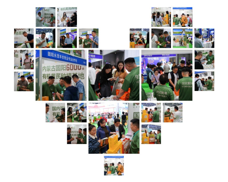 DSC08260-opq3596958669_副本