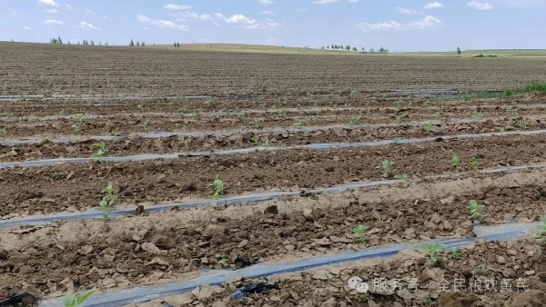 516a77bc2a7d96d864540d7e18370dd6