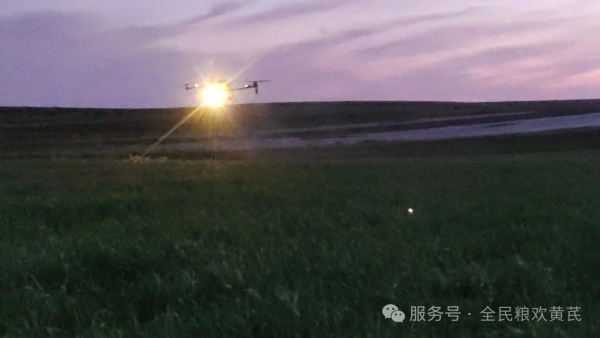 黄芪种植完成，静待大地馈赠的金秋厚礼