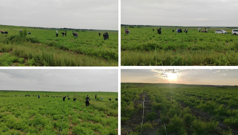 66a90697a2567d27a030bab7851284a3