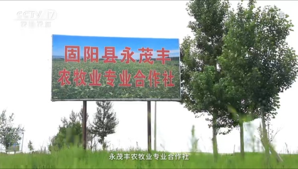 品牌喜讯 | 固阳“全民粮欢”有机黄芪亮相央视展播