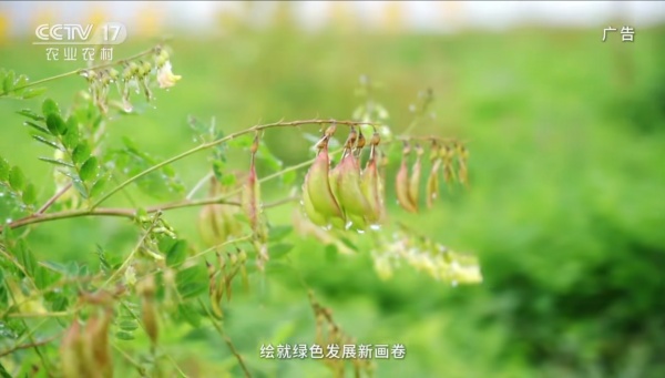 6372a498da3c3a4fa2a3cfc9fc077813