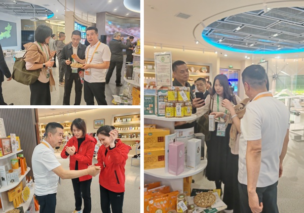 070f157fd47b0cb2d54715eb2d066e9f