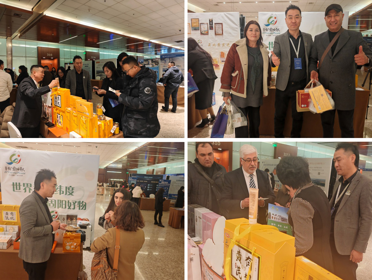 4c3950fd5509529699b561290dc9da62